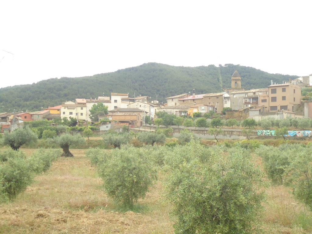 Villa Casa Felisa Pirineo Aragonés Santa Eulalia de Gállego Camera foto